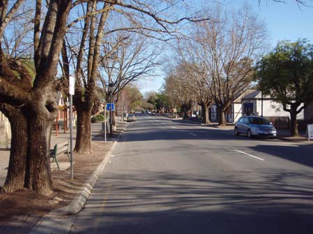 PA050068